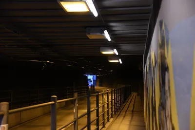 DSC_6068 (Large).JPG